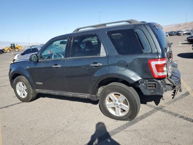 2008 Ford Escape HEV