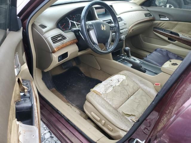 2008 Honda Accord EXL