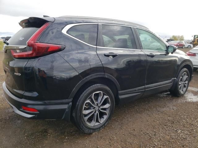 2020 Honda CR-V EXL