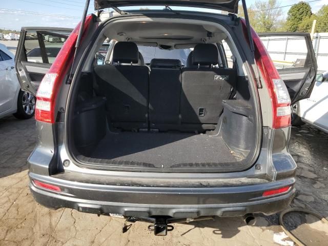 2010 Honda CR-V EXL