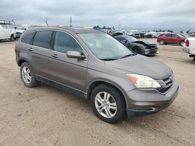 2010 Honda CR-V EXL