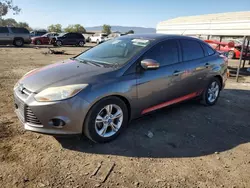 Salvage cars for sale at San Martin, CA auction: 2013 Ford Focus SE