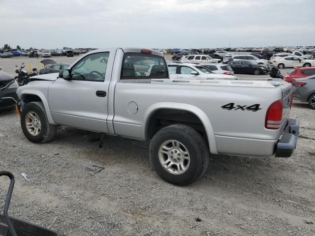 2004 Dodge Dakota SXT