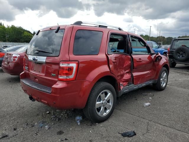 2012 Ford Escape Limited