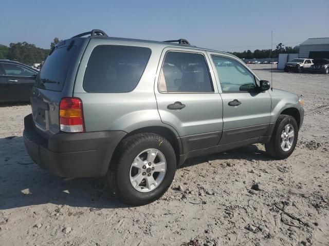 2006 Ford Escape XLT