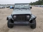 1997 Jeep Wrangler / TJ Sport