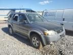 2007 Ford Escape XLT