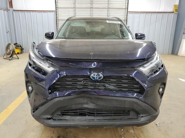 2023 Toyota Rav4 XLE Premium