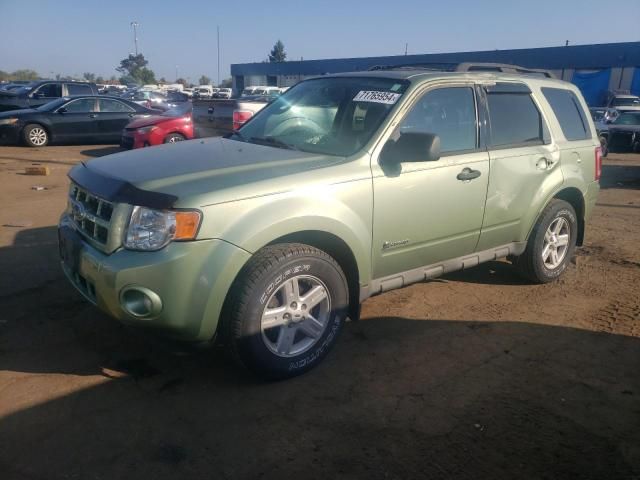 2009 Ford Escape Hybrid