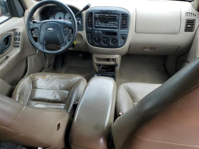 2001 Ford Escape XLT