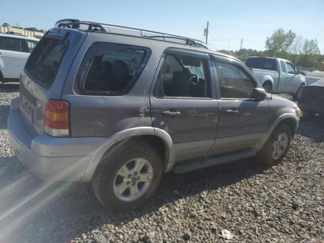 2007 Ford Escape XLT