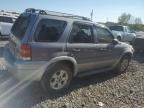 2007 Ford Escape XLT