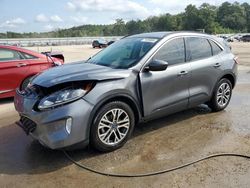 Salvage cars for sale at Harleyville, SC auction: 2022 Ford Escape SEL