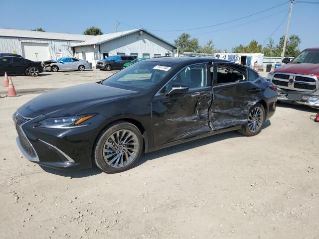 2024 Lexus ES 300H Base