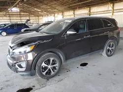 Salvage cars for sale at Phoenix, AZ auction: 2017 KIA Sorento EX