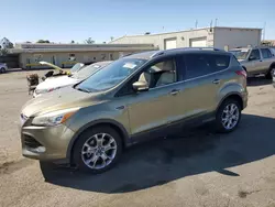 Ford salvage cars for sale: 2014 Ford Escape Titanium