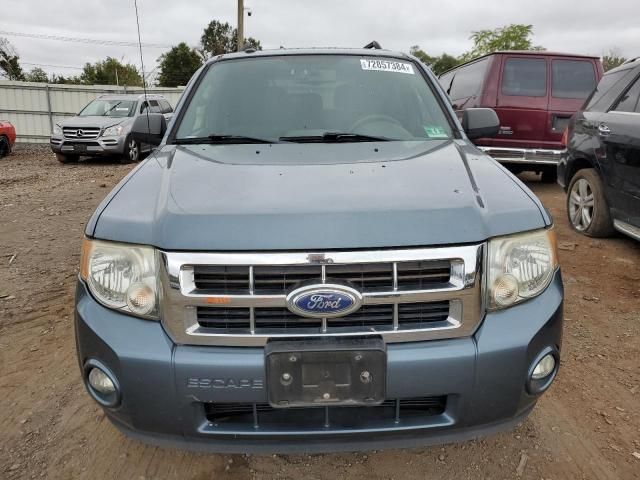 2010 Ford Escape XLT