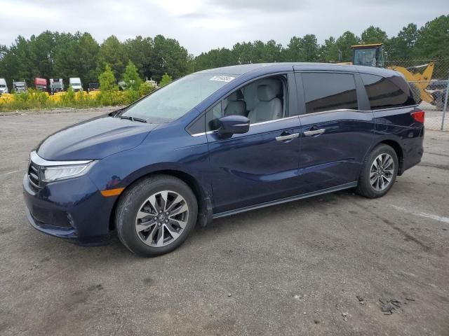 2022 Honda Odyssey EXL