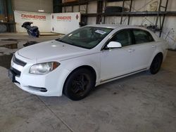 Salvage cars for sale at Eldridge, IA auction: 2009 Chevrolet Malibu 1LT