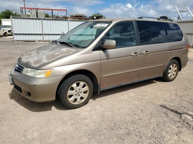 2004 Honda Odyssey EXL