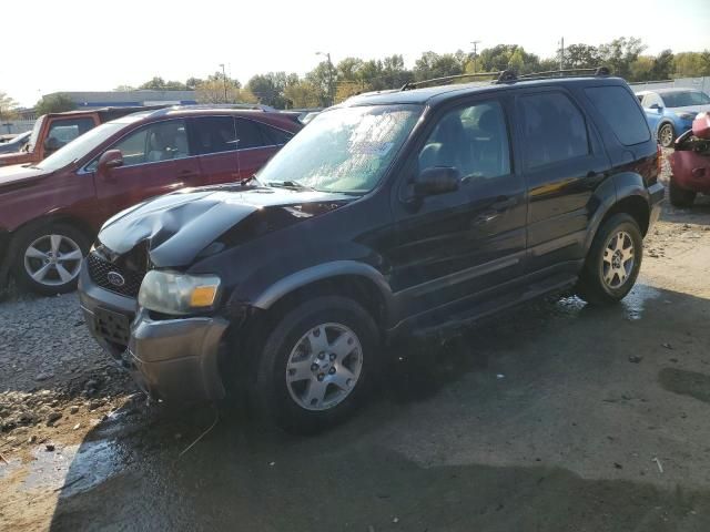 2005 Ford Escape XLT