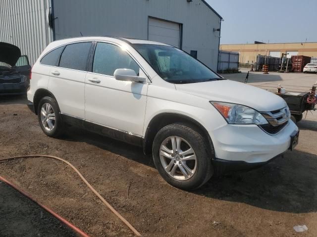 2010 Honda CR-V EXL