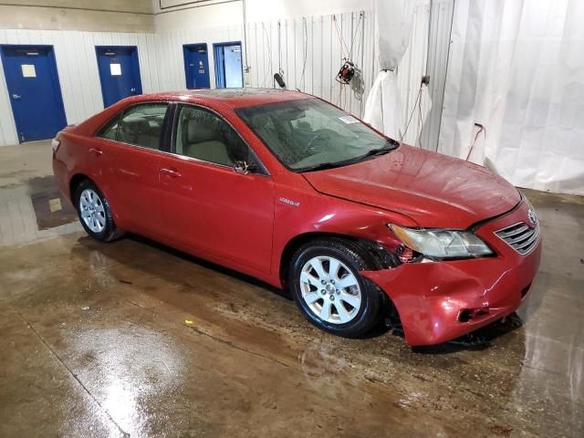 2009 Toyota Camry Hybrid