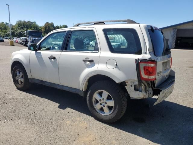 2010 Ford Escape XLS