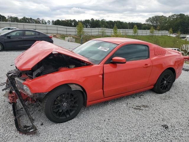 2014 Ford Mustang