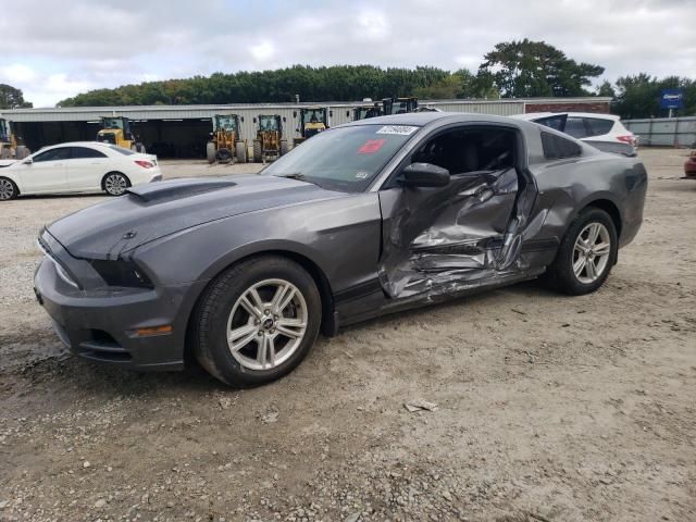 2014 Ford Mustang