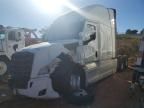 2022 Freightliner Cascadia 126