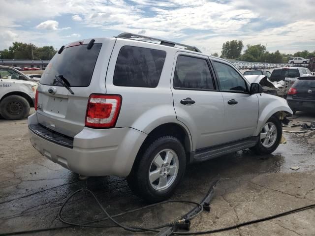 2010 Ford Escape XLT