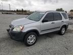 2005 Honda CR-V LX