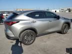 2024 Lexus NX 250 Premium