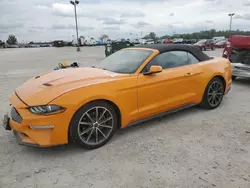 Vehiculos salvage en venta de Copart Indianapolis, IN: 2019 Ford Mustang