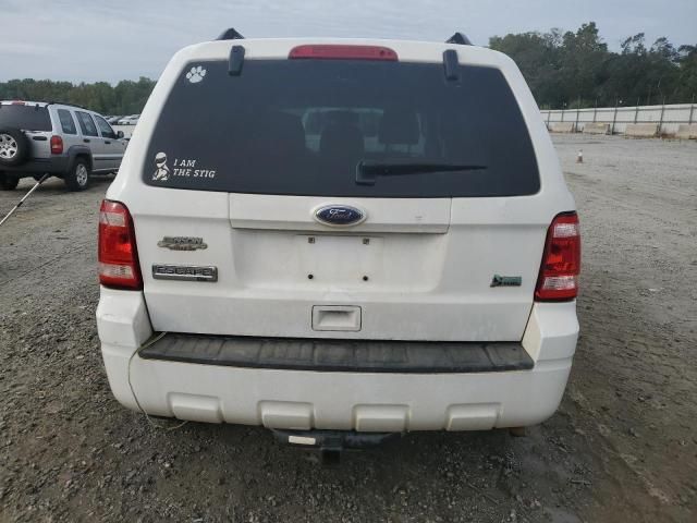 2010 Ford Escape XLT