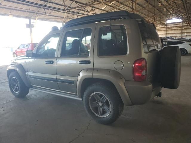 2004 Jeep Liberty Renegade