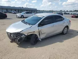 Salvage cars for sale at Harleyville, SC auction: 2014 Toyota Corolla L