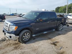 Ford salvage cars for sale: 2014 Ford F150 Supercrew