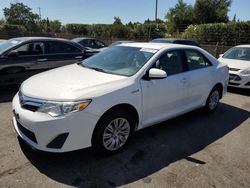 Vehiculos salvage en venta de Copart San Martin, CA: 2013 Toyota Camry Hybrid