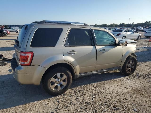 2012 Ford Escape Limited