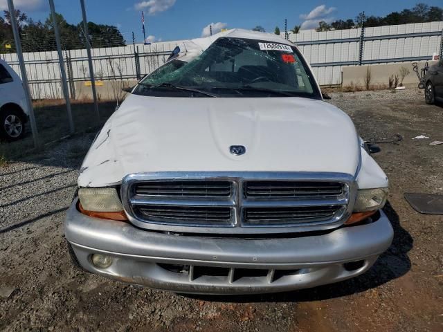 2004 Dodge Dakota Quad SLT