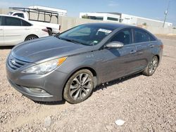 Salvage cars for sale at Phoenix, AZ auction: 2014 Hyundai Sonata SE