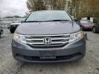 2013 Honda Odyssey EXL