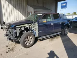 Salvage cars for sale at Fort Wayne, IN auction: 2014 Ford F150 Supercrew