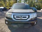 2010 Honda Pilot EXL