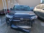 2024 Toyota 4runner SR5/SR5 Premium