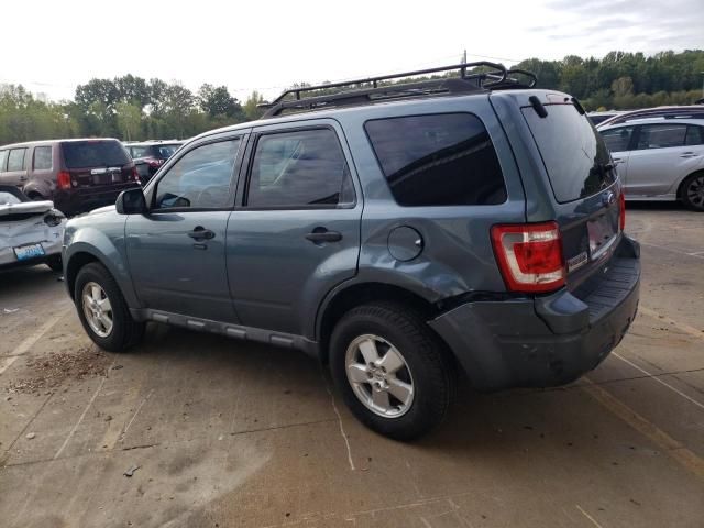 2010 Ford Escape XLT