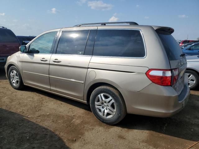 2005 Honda Odyssey EXL