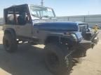 1991 Jeep Wrangler / YJ